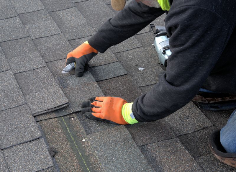 Shingle Repair